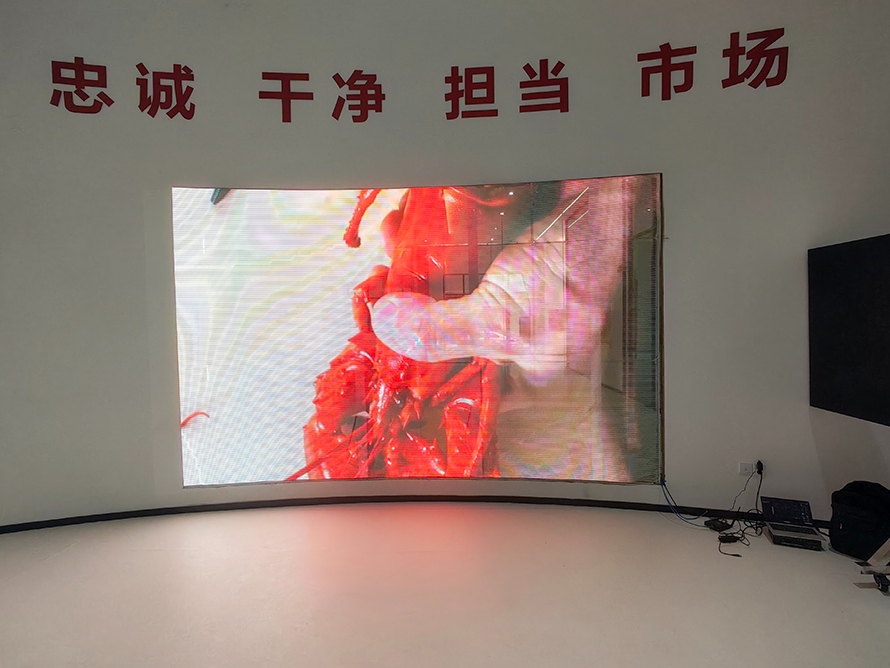 室內弧形LED顯示屏